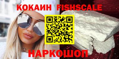 спайс Кингисепп