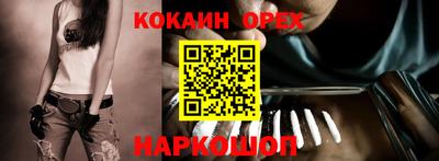 спайс Кингисепп
