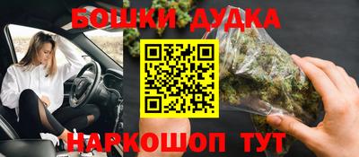 спайс Кингисепп