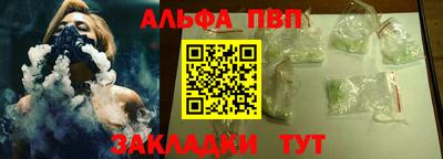 спайс Кингисепп